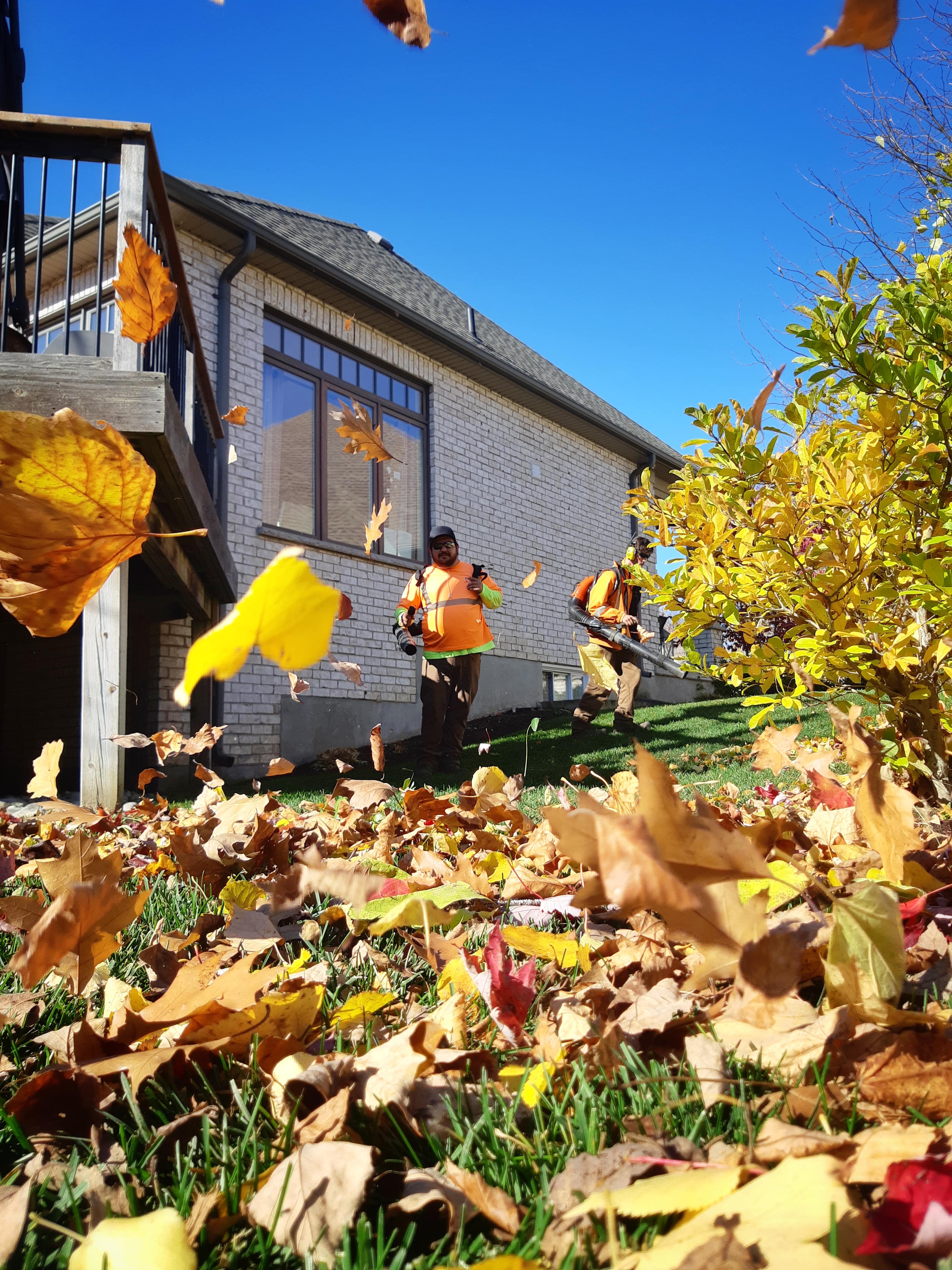 A man in reflective equipment using a leaf blower.