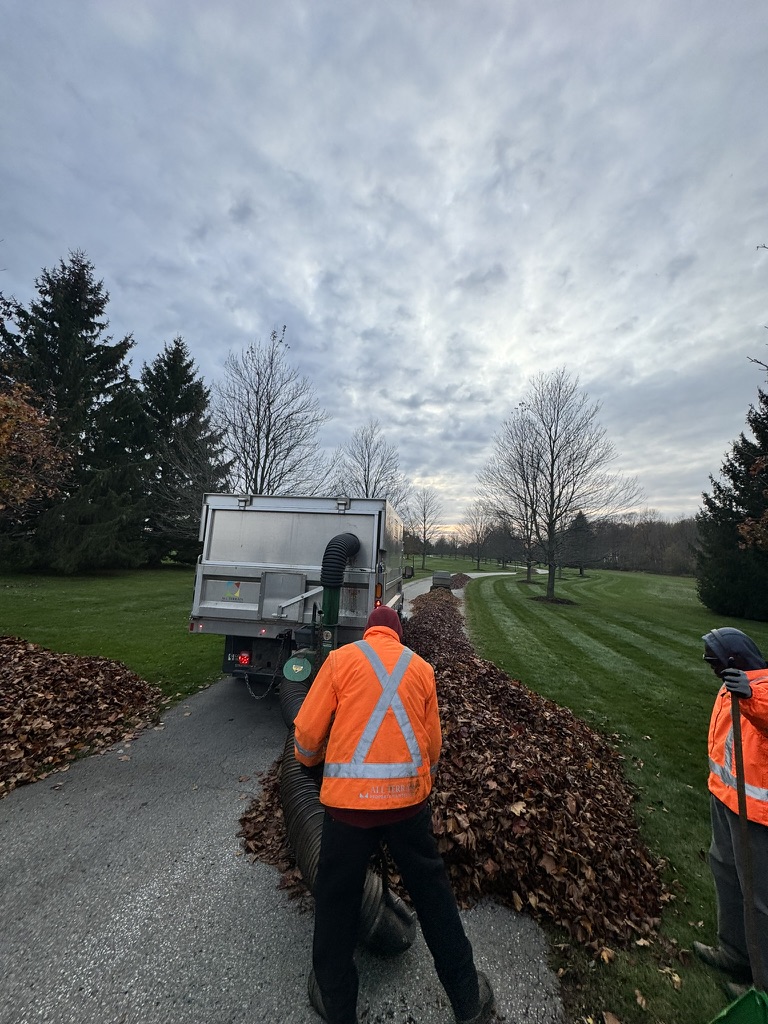 A crew of landscapers cleaning up piles of leaves.